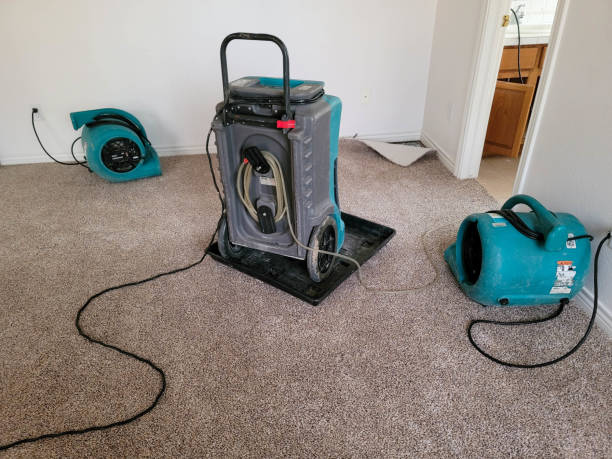 Best Sewage cleanup and water damage restoration  in New Iberia, LA