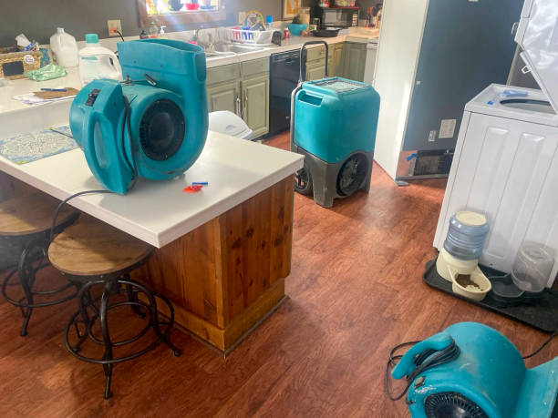 Best Water damage cleanup near me  in New Iberia, LA