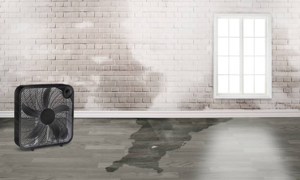 Best Flood restoration services  in New Iberia, LA