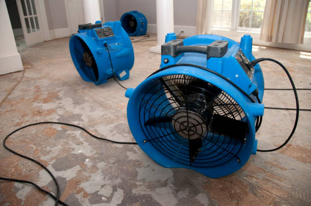 Best Flooded house restoration  in New Iberia, LA