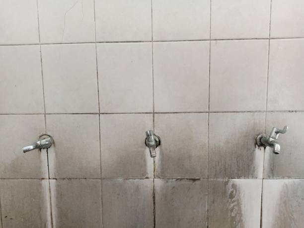 Best Water damage restoration near me  in New Iberia, LA