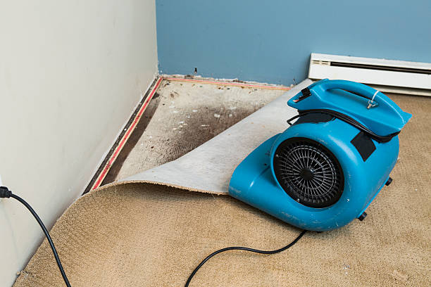 Best Carpet water damage restoration  in New Iberia, LA